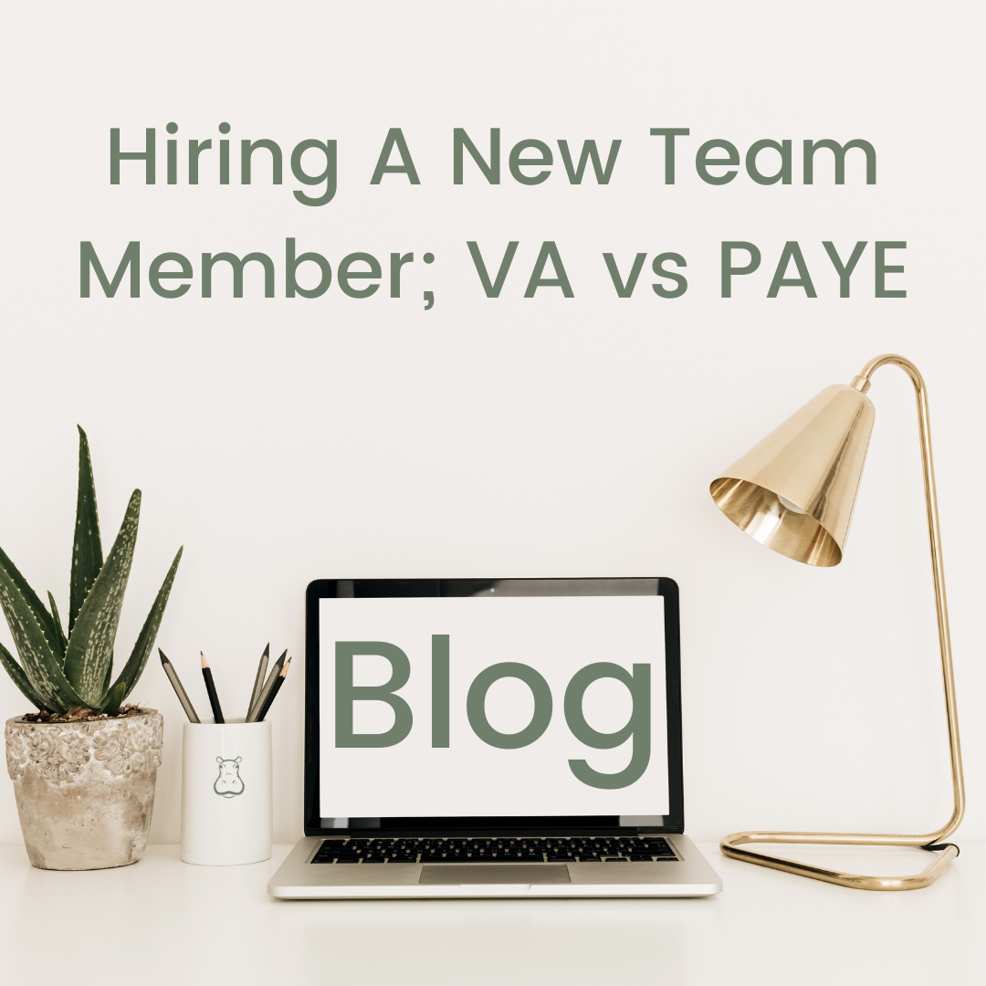 Hiring A New Team Member; VA vs PAYE. MMIH hippo logo
